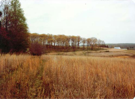 Looking back toward the house site