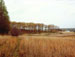 Looking back toward the house site